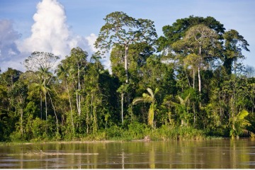 Foto de Deforestaci�n en la Amazonia brasile�a cay� al nivel m�s bajo desde 2019
