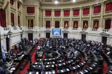 Foto de Diputados debatir el prximo mircoles los vetos a la Ley de Financiamiento Universitario y de Emergencia Peditrica