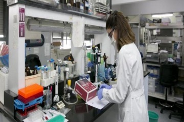 Foto de El Gobierno cancela lneas de financiamiento cientficas y avanza con la motosierra en el sector 