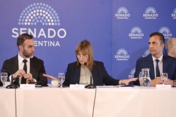 Foto de El Senado comenzó el tratamiento de la reforma laboral en comisión