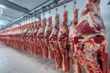 Foto de El Gobierno habilita el registro para exportar carne argentina a Estados Unidos en 2026
