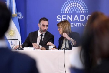 Foto de El Senado dictamin� a favor del Presupuesto 2026 y del proyecto de �Inocencia Fiscal"