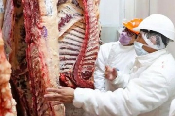 Foto de China impone un arancel del 55% a la carne argentina y pone en riesgo el principal ingreso de divisas