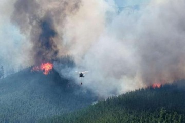 Foto de Denuncian que Milei �desfinanci� el Servicio Nacional del Manejo del Fuego