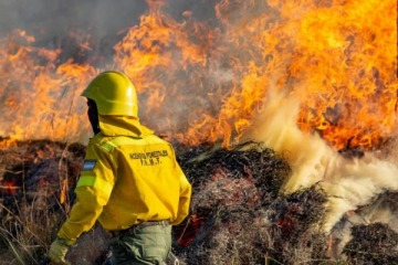 Foto de En medio de los incendios, brigadistas de Parques Nacionales exigieron al Gobierno de Milei un "salario digno y jubilaci�n acorde"