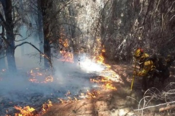 Foto de Incendios en Chubut: investigan la posible responsabilidad penal de funcionarios