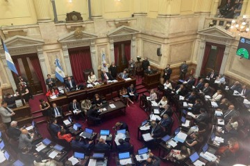 Foto de El Senado dio media sanci�n a la reforma laboral tras una marat�nica sesi�n