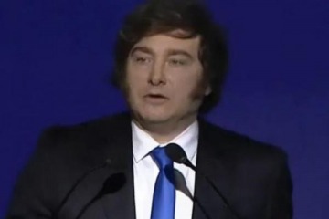 Foto de Papel�n en la OMC: funcionarios de Milei hablaron en ingl�s y desataron burlas diplom�ticas