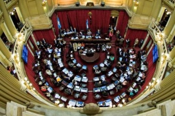 Foto de Senado: se debate la reforma de Salud Mental y suman adicciones como enfermedad