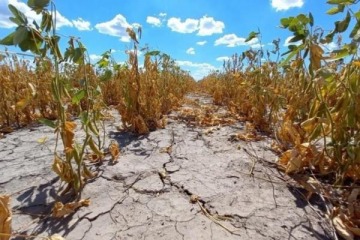 Foto de Emergencia agropecuaria: Chubut, Santa Cruz y Mendoza en alerta por sequ�as, heladas y granizo