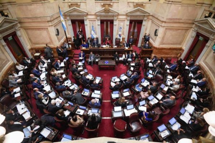  Ante la falta de votos, LLA tuvo que retirar la reforma sobre propiedad privada en el Senado