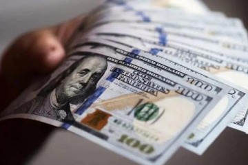 Foto de La inversi�n extranjera volvi� a dar saldo negativo y ya salieron m�s de u$s1.100 millones desde que asumi� Milei