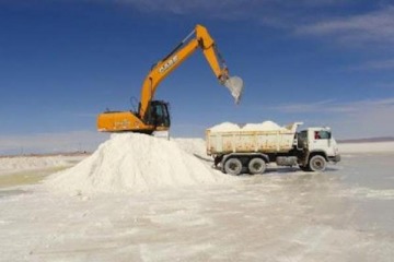 Foto de El Gobierno aprob� cinco nuevos proyectos del RIGI: miner�a, gas y litio