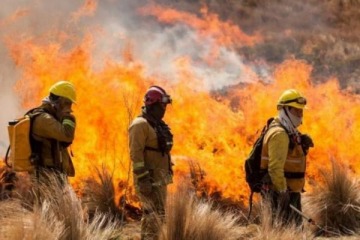 Foto de Otra derrota para el Gobierno: retir� los cambios a la Ley de Manejo del Fuego