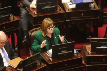 Foto de "Vino un poco endiablada": Bullrich reconoci� el fracaso de la Ley de Inviolabilidad de la Propiedad Privada en el Senado