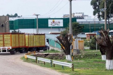 Foto de Granja Tres Arroyos ech� a 250 trabajadores por la ca�da de la actividad 