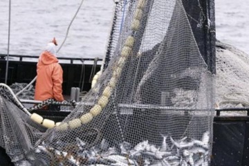 Foto de Pesca: el Gobierno recoge el reclamo del peronismo y analiza ampliar las sanciones por Malvinas