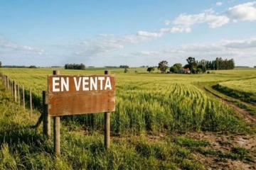 Foto de Ley de Tierras: qu� v�as tiene la oposici�n para revertir la derogaci�n de la norma tras el fallo de la Corte