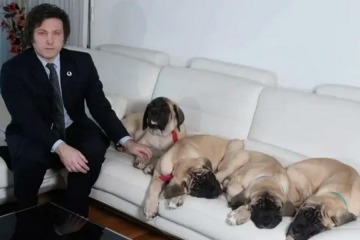 Foto de La ps�quica de los perros de Milei revel� un ins�lito talento de Karina: �Se comunicaba con los animales�