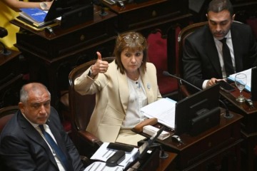 Foto de Senado: el oficialismo obtuvo dictamen para reformar la Ley de Salud Mental y busca debatirla la pr�xima semana