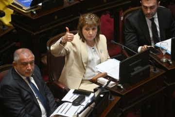 Foto de El Senado debate Salud Mental: internaciones involuntarias y ludopat�a, entre los puntos m�s cuestionados